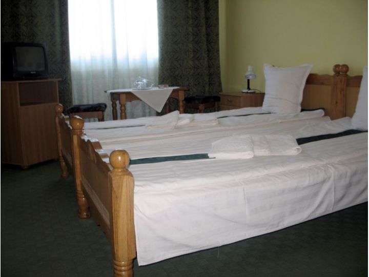 Hotel Decebal, Bistrita - imaginea 