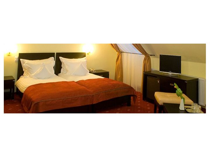 Pensiunea Romance, Bistrita - imaginea 