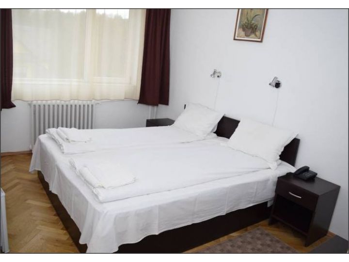 Hotel Hebe, Sangeorz-Bai - imaginea 