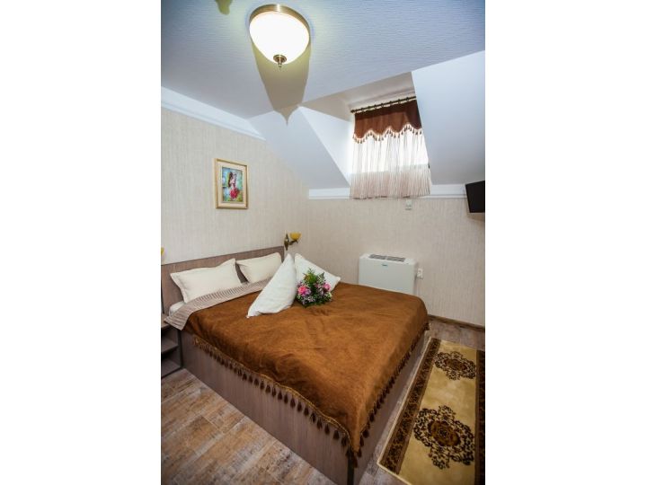 Pensiunea Bianca, Botosani Oras - imaginea 