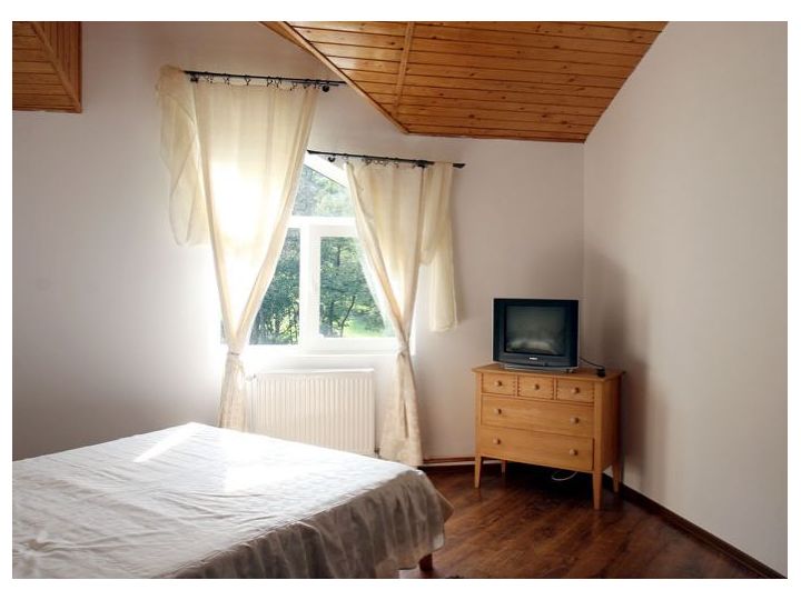 Pensiunea Carpathia, Predelut - imaginea 