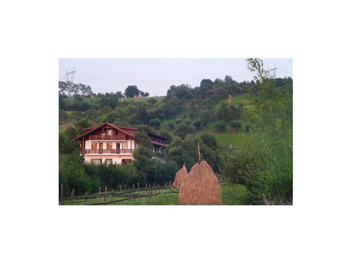 Pensiunea Cehov, Sohodol Bran - imaginea 