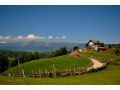 Hotel Conacul Boieresc, Simon Bran - thumb 1
