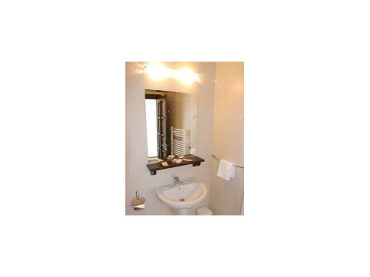 Vila Transylvanian Inn, Predelut - imaginea 