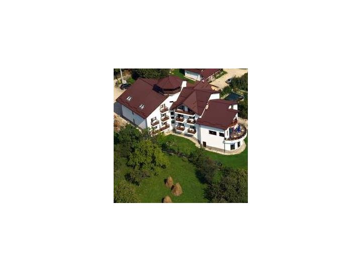 Vila Transylvanian Inn, Predelut - imaginea 