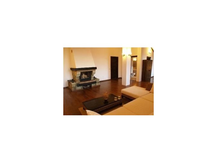 Vila Transylvanian Inn, Predelut - imaginea 