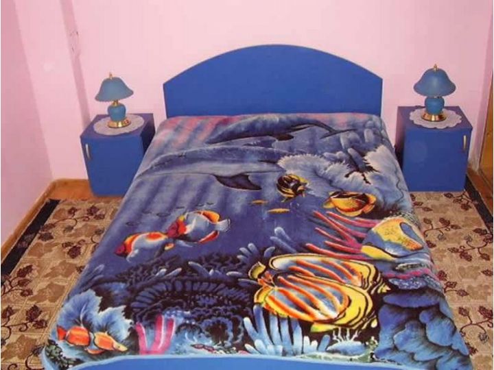 Hotel Ioana, Poarta Bran - imaginea 