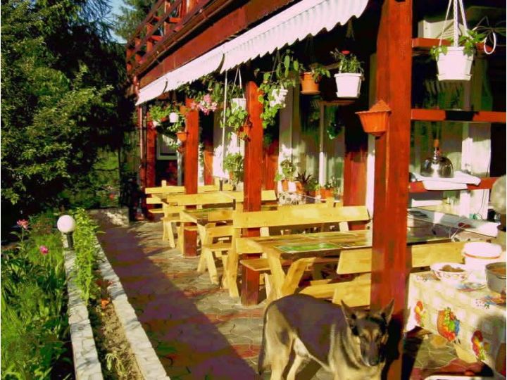 Hotel Ioana, Poarta Bran - imaginea 