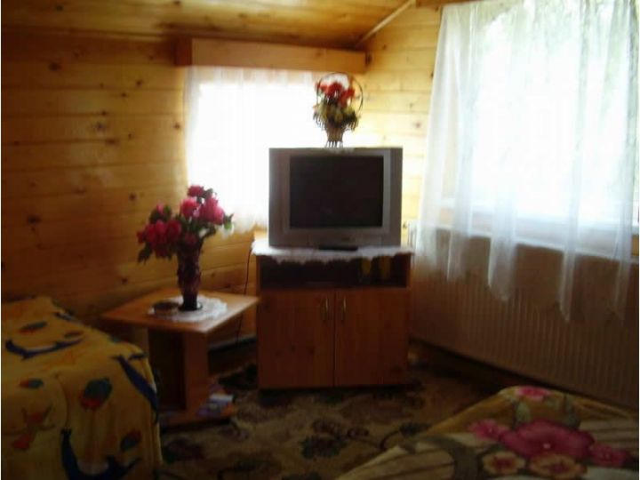 Hotel Ioana, Poarta Bran - imaginea 