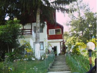 Hotel Ioana, Poarta Bran - 2