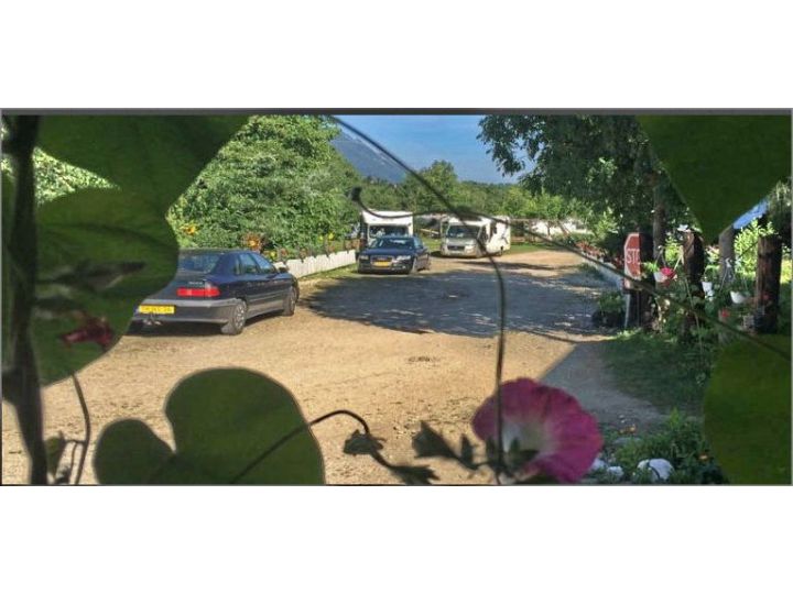 Campingul Vampire Camping, Sohodol Bran - imaginea 
