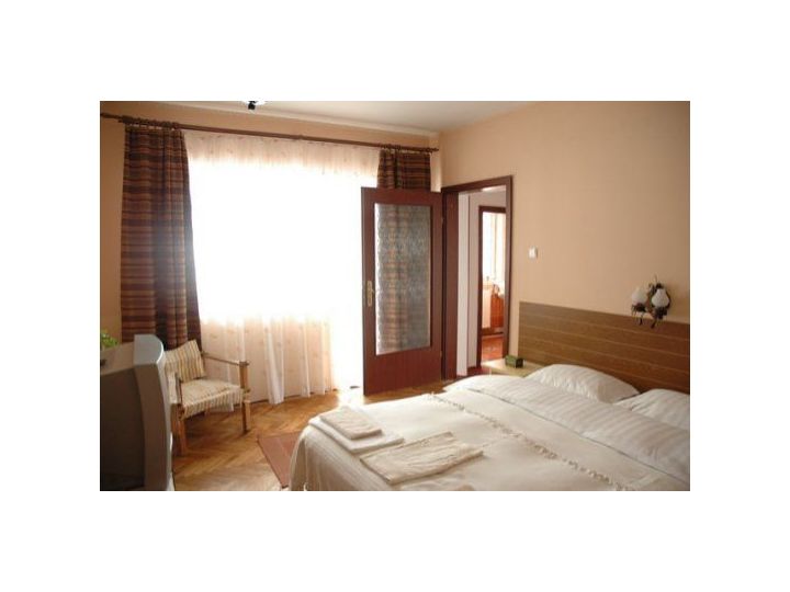 Pensiunea Casa Cristina, Brasov Oras - imaginea 