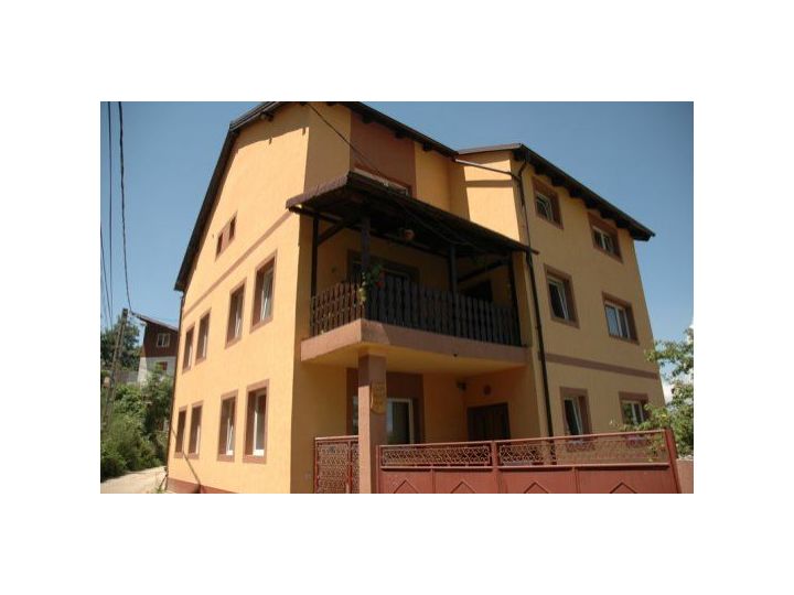 Pensiunea Casa Cristina, Brasov Oras - imaginea 