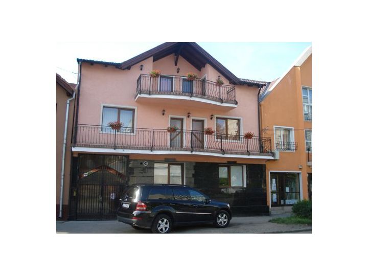 Pensiunea Casa Floraly, Brasov Oras - imaginea 