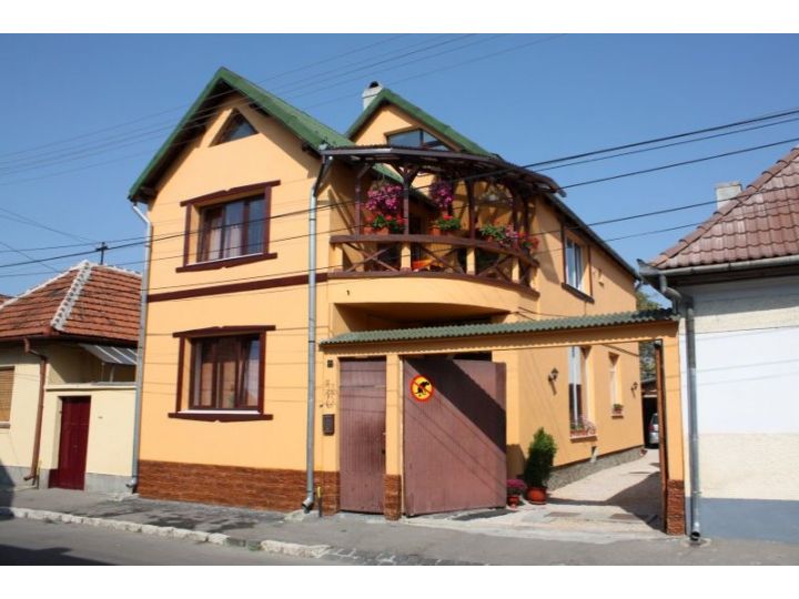 Pensiunea Casa Hanna, Brasov Oras - imaginea 