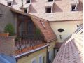Pensiunea Casa Rozelor, Brasov Oras - thumb 4