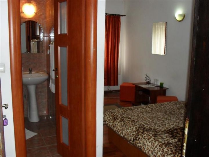 Pensiunea Casa Samurai, Brasov Oras - imaginea 