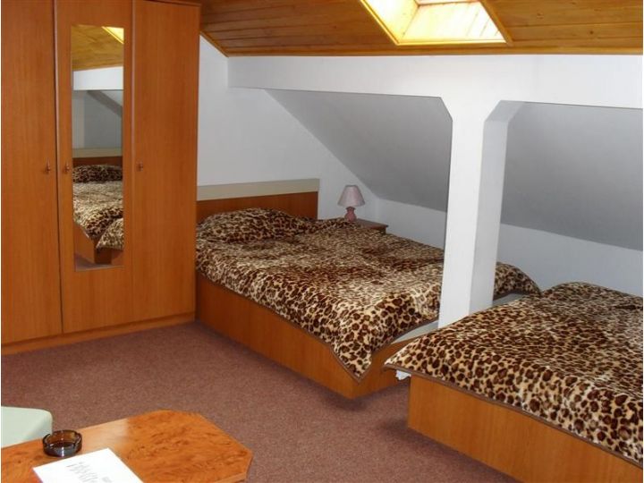 Pensiunea Casa Samurai, Brasov Oras - imaginea 