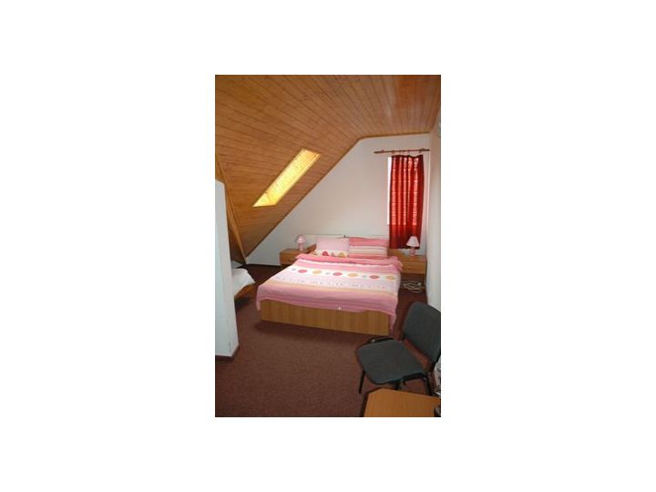 Pensiunea Casa Samurai, Brasov Oras - imaginea 