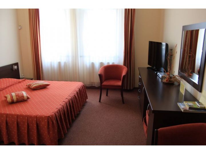 Pensiunea Floarea Soarelui, Brasov Oras - imaginea