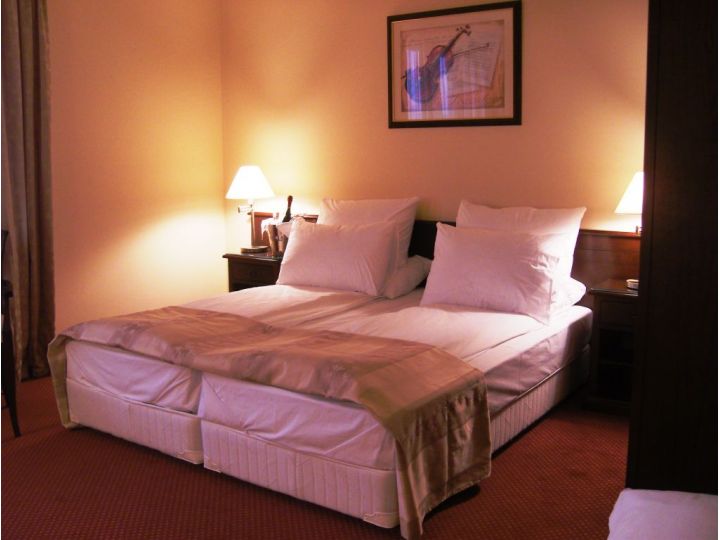 Hotel Garden Club, Brasov Oras - imaginea 