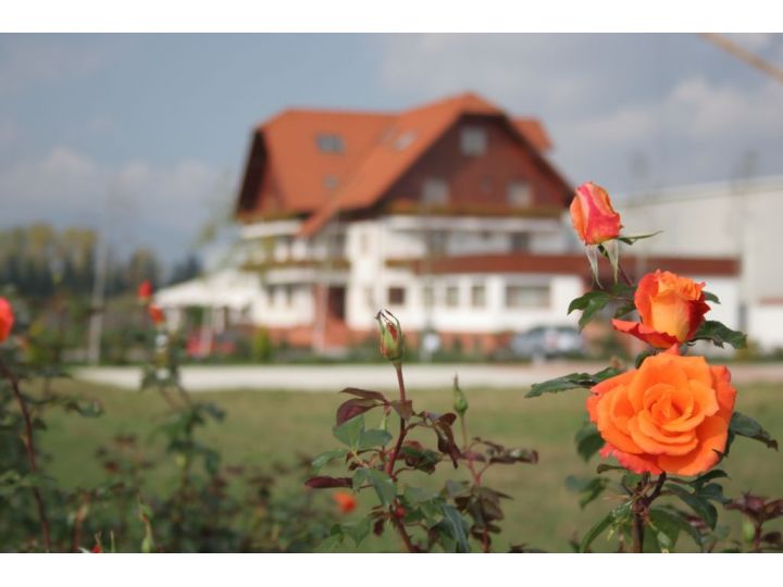 Hotel Garden Club, Brasov Oras - imaginea 