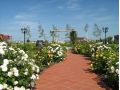 Hotel Garden Club, Brasov Oras - thumb 23