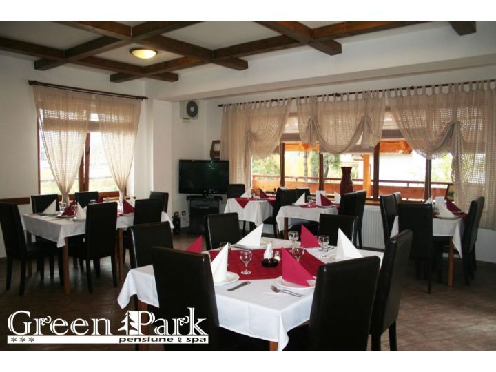 Pensiunea Green Park, Brasov Oras - imaginea 