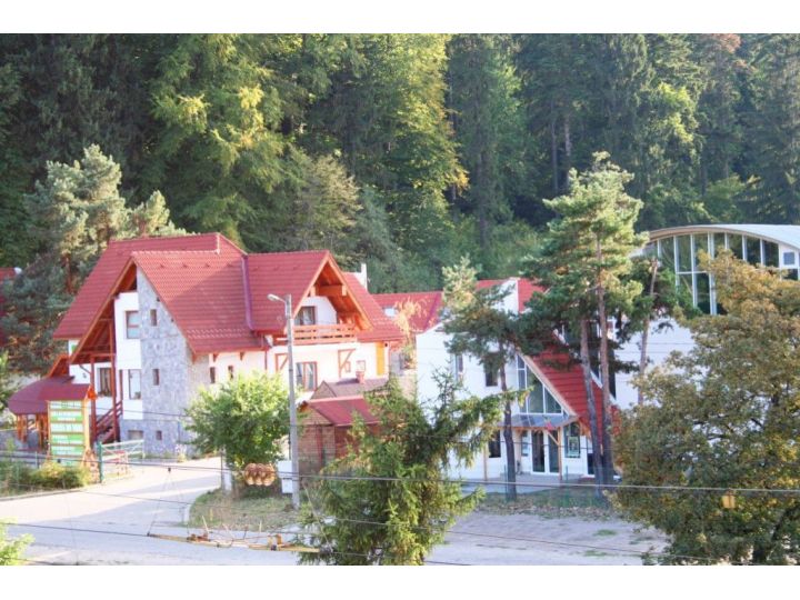 Pensiunea Green Park, Brasov Oras - imaginea 