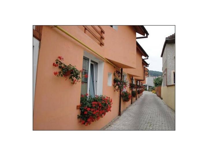 Pensiunea Kronstadt, Brasov Oras - imaginea