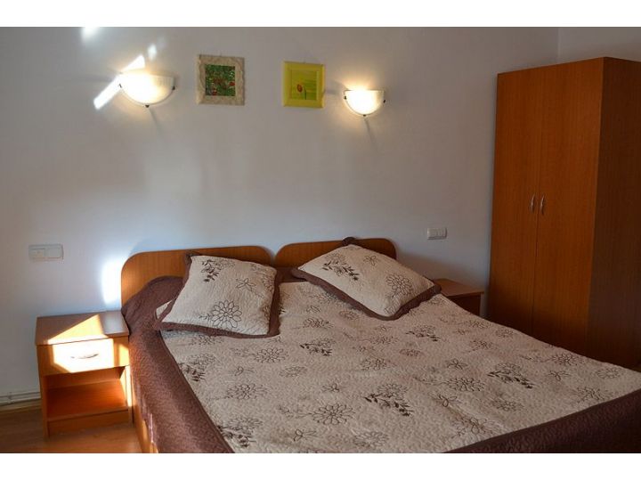 Pensiunea Mony, Brasov Oras - imaginea
