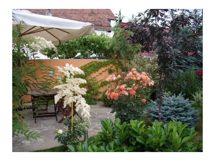 Hotel Oasis, Brasov Oras - imaginea