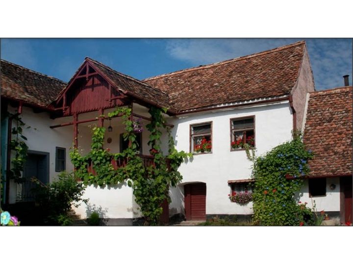 Pensiunea Casa Cu Zorele, Crit - imaginea 
