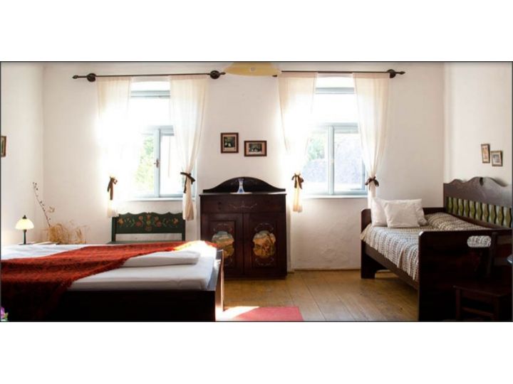 Pensiunea Casa Cu Zorele, Crit - imaginea 
