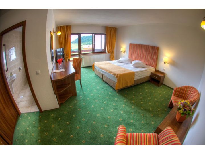 Hotel Piatra Craiului, Fundata - imaginea