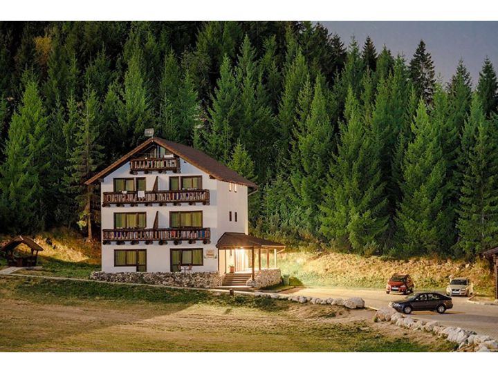 Vila Pinul, Fundata - imaginea