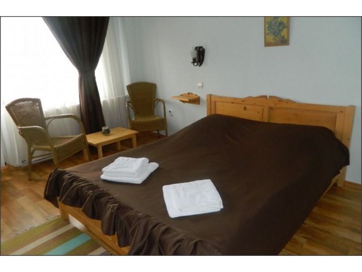 Pensiunea Casa Boiereasca, Pestera - imaginea