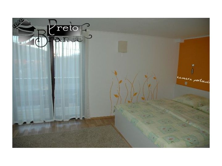 Pensiunea Preto E Branco, Moeciu De Jos - imaginea 