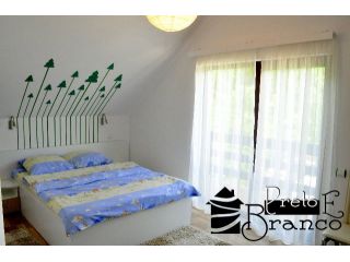 Pensiunea Preto E Branco, Moeciu De Jos - 3