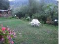 Pensiunea Brancoveanu, Moeciu De Jos - thumb 13