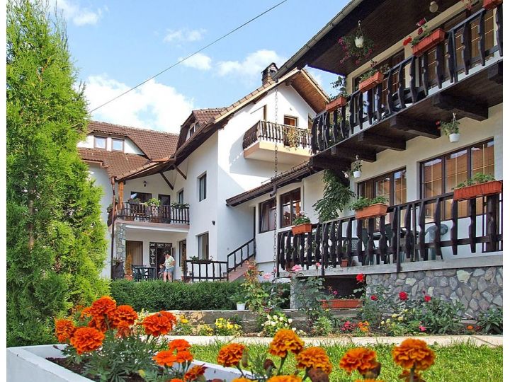 Pensiunea Moeciu-Bucegi, Moeciu De Jos - imaginea 