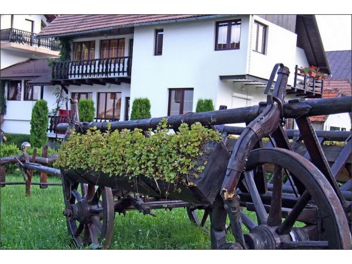 Pensiunea Rodica, Moeciu De Jos - imaginea 