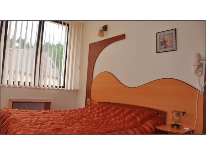 Pensiunea Alex, Poiana Brasov - imaginea 