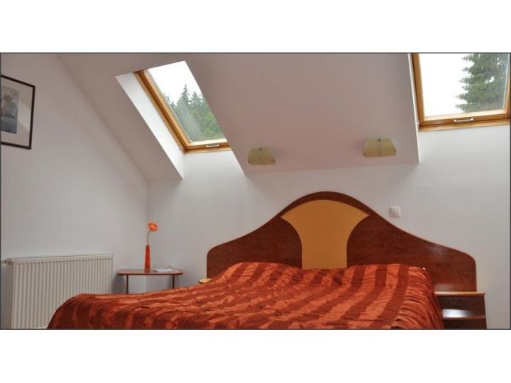 Pensiunea Alex, Poiana Brasov - imaginea 
