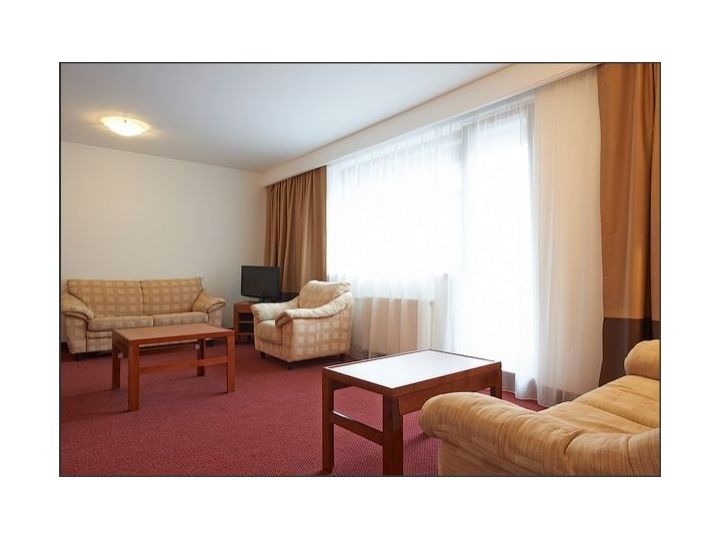 Hotel Bradul Ana Hotels, Poiana Brasov - imaginea 