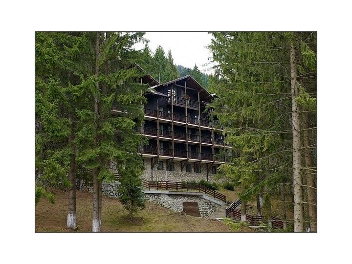 Hotel Bradul Ana Hotels, Poiana Brasov - imaginea 