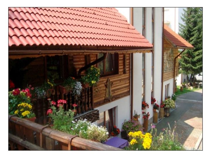 Pensiunea Casa Schmidt, Poiana Brasov - imaginea 