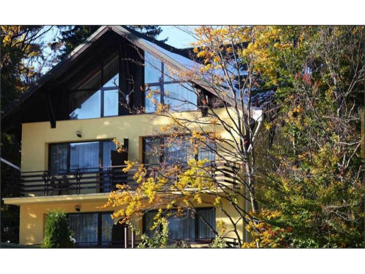 Complex turistic Casa Viorel, Poiana Brasov - imaginea 