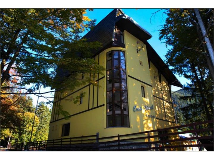 Complex turistic Casa Viorel, Poiana Brasov - imaginea 