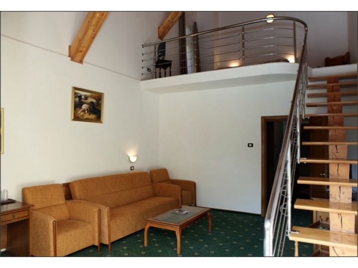 Complex turistic Casa Viorel, Poiana Brasov - imaginea 